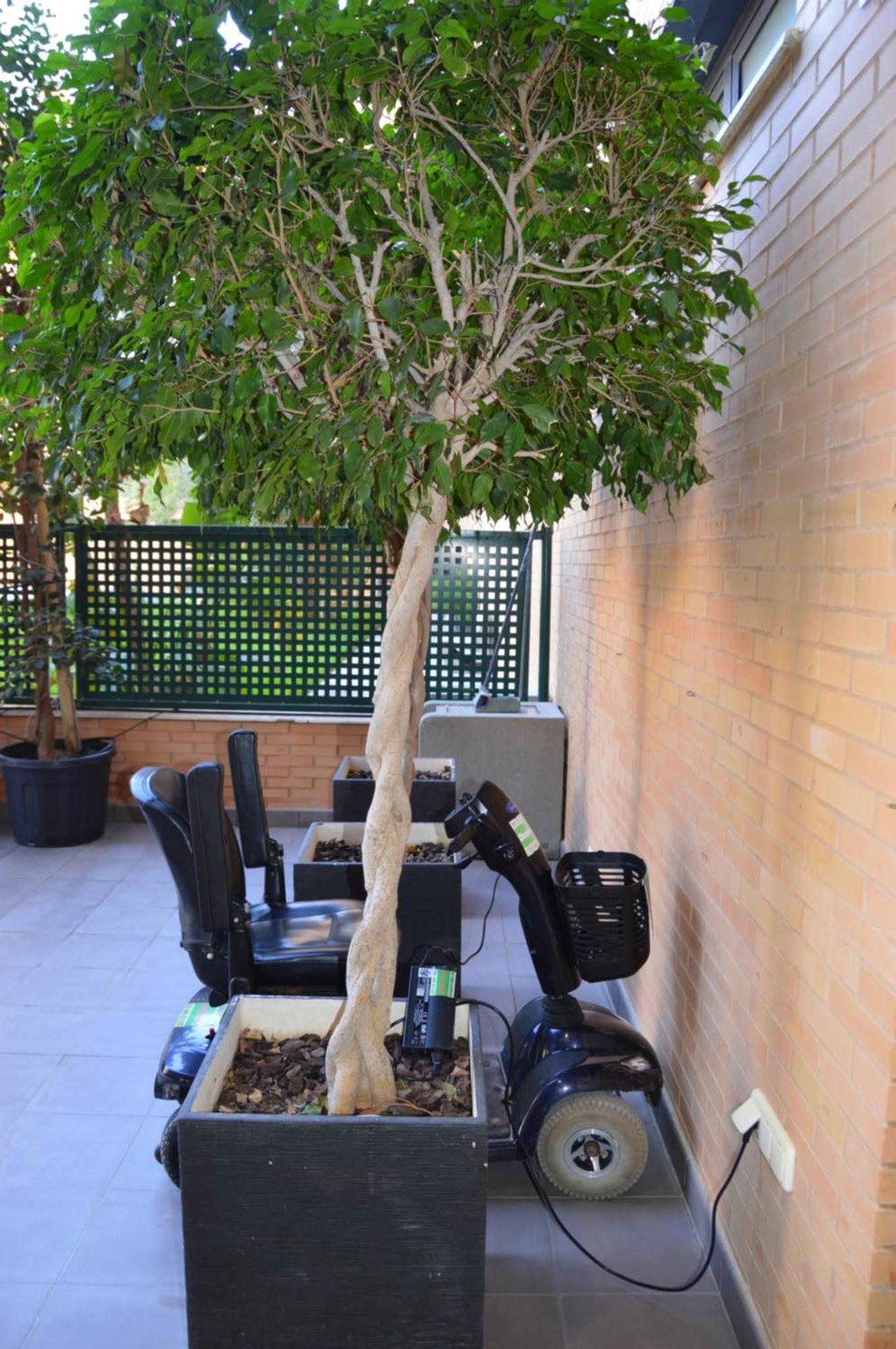 Albir & Sea Apartament *